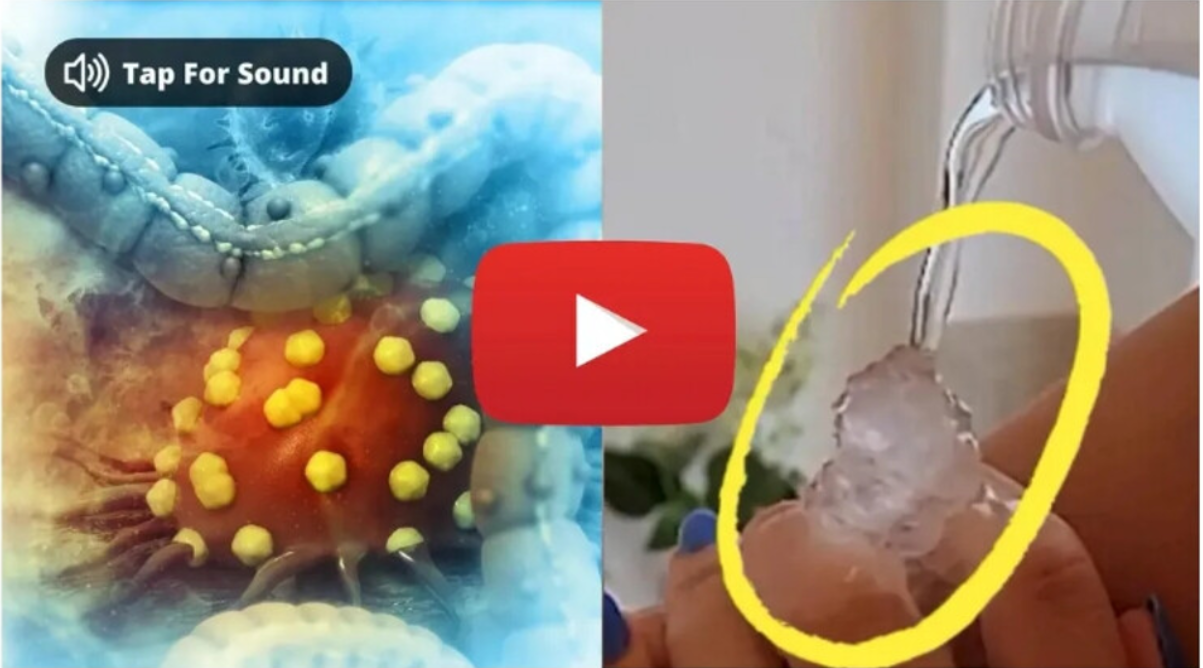 Metabolic Reset Transformation